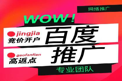 竞价开户推广案例营销策略